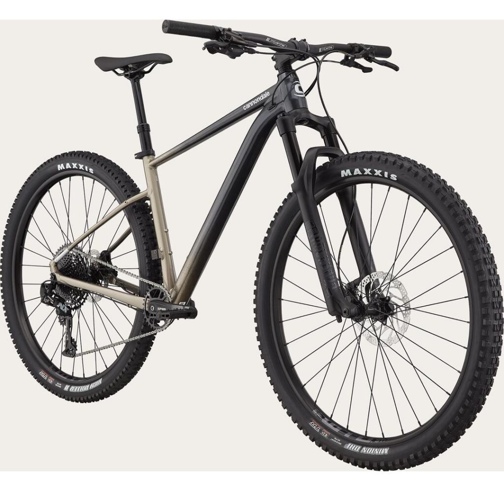 Cannondale Trail SE 1 VTT performance SRAM NX Eagle 12 vitesses.jpg