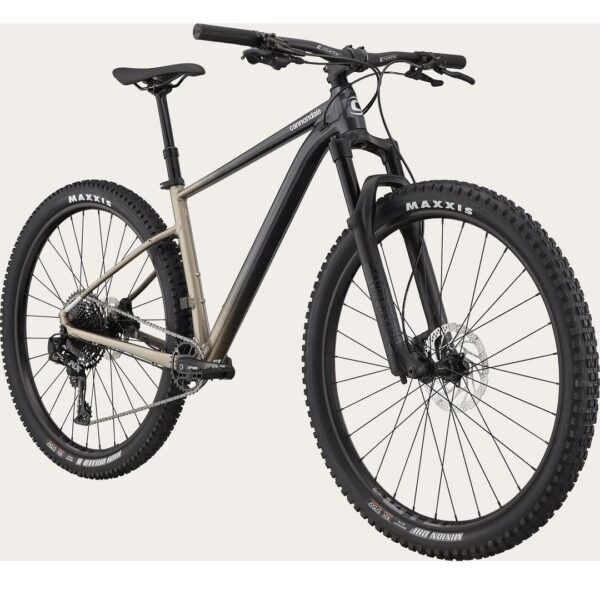 Cannondale Trail SE 1 VTT performance SRAM NX Eagle 12 vitesses.jpg