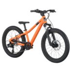 SCOTT Roxter 200 velo enfant confortable pour sentiers et balade.jpg