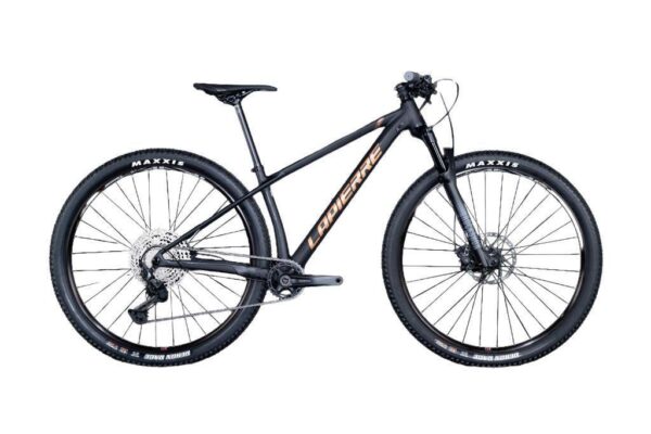 VTT 29 pouces Lapierre Prorace 5.9 stabilite et controle.jpg