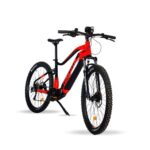 VTT electrique UrbanBiker Dakota PLUS pour montagne et sentiers.jpg